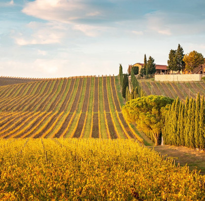 Vigneti nel Chianti per vacanze in famiglia in villaggio