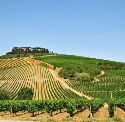 Vigneti nel Chianti per vacanze in famiglia in villaggio